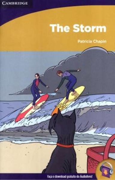 Picture of THE STORM - INTERMEDIATE