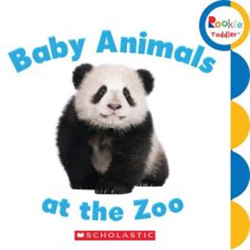 Imagem de BABY ANIMALS AT THE ZOO