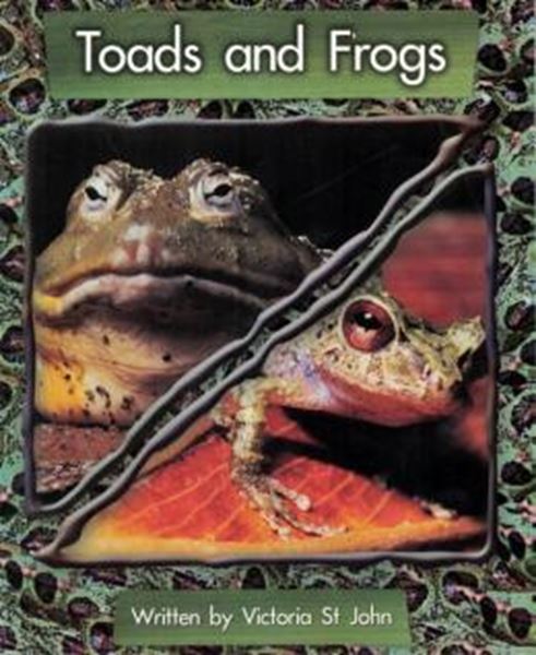 Picture of TOADS AND FROGS
